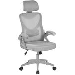 Yaheetech Ergonomic Computer Desk Chair, High Back Home Office Chair with Flip-up Armrest and Lumbar Support for Home Study or Manager Work Gray