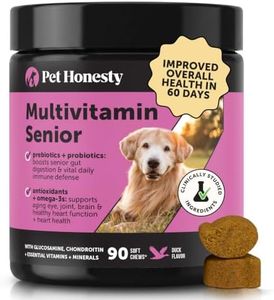Senior Dog