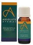 Absolute Aromas Eucalyptus Essential Oil 10ml - 100% Pure, Natural and Undiluted - an Antiseptic and Antibacterial Oil to Soothe and Clear - for use in Diffusers and Aromatherapy