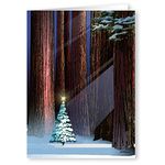 Stonehouse Clooection |Christmas Tree in the Forest Holiday Card | 18 Christmas Cards & Envelopes | USA Made- Winter Holiday Forest (Standard)