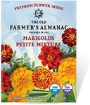 The Old Farmer's Almanac Marigold Seeds (Petite Mixture) - Approx 200 Flower Seeds - Premium Non-GMO, Open Pollinated, USA Origin