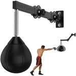 Speed Bag Boxing Punching Bag, Wall