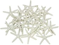 LJY 25 Pieces 3.15 Inches Beige Res