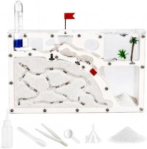 Ant Farm K