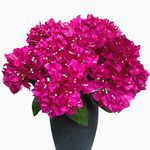 Dophinena Set of 4pcs - Artificial Bougainvillea Bush Silk Flowers Bouquet Rich Blossom for Home Garden Wedding Decor Faux Flower Shrubs Indoor and Outdoor Plants (Fuchsia)
