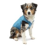 Kurgo Loft Dog Jacket, Reversible Dog Coat for Cold Weather, Blue/Orange, Large