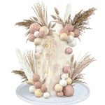 50 PCS Boho Cake Toppers Mini Balls Cake Topper Various Dried Pampas Grass Cake Decor for Boho Home Wedding Cake Decoration (White Apricot Light Brown)