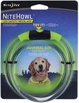 Nite Ize Dog Safety Necklace, Green