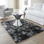 Ophanie Rugs for Bedroom, Machine Washable Fluffy Shaggy Soft Area Rug, Non-Slip Indoor Floor Carpet for Living Room, Kids Boys Teen Dorm Home Decor Aesthetic, Nursery, 4x6 Feet Black and Grey