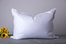 ArcticNorthDown Standard Goose Down Feather Hotel Collection Bed Pillows for Sleeping One Pillow for Back, Stomach or Side Sleepers Stripe White Color