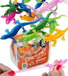 UpBrands Rubber Lizards Toys Bulk Set, Kit for Birthday Party Favors for Kids, Goodie Bags, Easter Egg Basket Stuffers, Pinata Filler, Students Classroom Prizes (24 Pack)