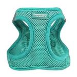 Downtown Pet Supply Step in Dog Harness for Small Dogs No Pull, Medium, Bermuda Blue - Adjustable Harness with Padded Mesh Fabric and Reflective Trim - Buckle Strap Harness for Dogs