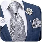 DiBanGu Silver Paisley Tie and Lape