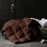 Razzai 500 GSM Winter Comforter Premium Collection Quilted Comforter (60" x 90" Inches/152cm x 228cm) - Single Bed Comforter|Chocolate Brown|Microfiber|Lightweight