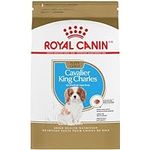 Royal Canin Cavalier King Charles P