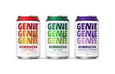 GENIE LIVING DRINKS Kombucha, Variety Pack of 3 flavours, Fermented 10 Days, Gut Friendly, Low Calorie, All Natural, 100% Vegan, No Sweeteners, No Nasties, Made in UK, Natural Energy, 12 x 330ml Cans