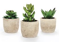 Mr.Bom Set of 3 Mini Artificial Succulents Plants Potted Decorative Fake Succulent Plant in Pots Faux Plastic Plant Indoor for Bedroom Office Desk Kitchen Decor Gift Set