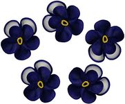 O'Creme Pansy Royal Icing Sugar Flower 1-1/4 Inch - for Cake Decorating - Decorations for Cakes, Cupcake Toppers - Birthday, Wedding, Valentines, Baby Shower - Set of 16 Royal Blue/White