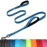 VIVAGLORY Dog Lead Twingrip Double Handle Dog Lead, Leash with Traffic Handle & 2 Loop for Walking & Training, Reflective Traffic Control Heavy Duty for Puppy Pet, 1.2m x 2.5cm, Blue
