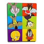 New Warner Bros Looney Tunes Expres