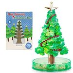 Playwrite Magic Growing Christmas Tree