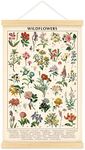 Vintage Wildflowers Poster Botanica