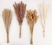 Dried Pampas Grass Decoration, 100 Pieces of Pampas Grass with Bunny Tails Dried Flowers, Reed Grass Bouquet for Wedding Boho Flowers and Home Table Decoration, Rustic Farmhouse Party