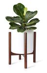 Mkono Plant Stand Mid Century Wood Flower Pot Holder Indoor (Plant and Pot NOT Included) Potted Rack Modern Home Decor, Up to 10 Inch Planter, Dark Brown