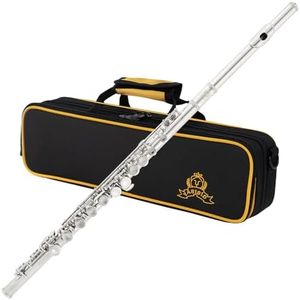 Yasisid Closed Hole C Flute 16 Keys Instrument for Student Beginners with Cleaning Kit, Stand, Carrying Case, Gloves and Tuning Rod