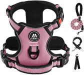 IVY&LANE No Pull Dog Harness for Me