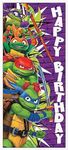 Teenage Mutant Ninja Turtles Birthd