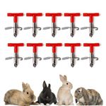 Water System For Rabbits