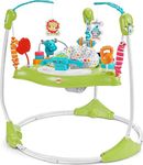 Fisher-Price Baby Bouncer Fitness F