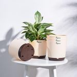 UGAOO 7.5 Inch Krish Self Watering Planter - Set of 5 (Ivory) | Flower Pots for Indoor Plants | Plastic Planter Pots | Decorative Pots for Living Room, Kitchen, Office | Planters for Home Decor