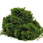 BYHER Artificial Moss Fake Green Gr