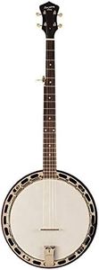 Recording King RKH-05 Resonator Banjo
