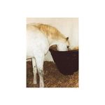 Pony Hay Bar - Pony Feeder Black