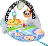 Fisher-Price 2-in-1 Flip and Fun Activity Gym, Baby Play Mat with Arch