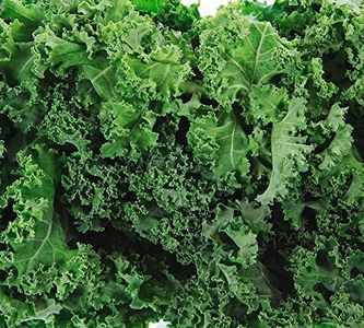 Dwarf Siberian Kale Seeds for Planting Heirloom Non GMO Packets 200 Seeds - Plant & Grow Kale in Home Outdoor Garden, Great Gardening Gift - 1 Packet