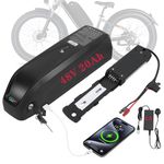 R TEAM Ebike Battery 48v 20AH with 3A Charger, USB Port,Built in Samsung 50GB Cells,Lithium Electric Bike Battery for Rear or Front 30A 17A Controller Motor (Bafang, AW, KT most ebike conversion kit)