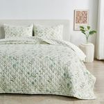 King Size Floral Quilt Bedding Set | Spring Neutral Floral Bedspread | 3-Piece Reversible Summer Bedding Sets & Collections | Lightweight Quilted Coverlet (King / California King, Natural Floral)