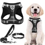 Pupteck Adjustable No-Pull Dog Harness, Collar and Leash Set for Small Medium Dogs, Puppies and Cats, Soft Mesh Padded Reflective Chest Strap for Walking and Training (Black, M (Chest 16"–18"))
