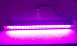 TORPE 20W Plant Grow Light 36Red+36Blue Full Spectrum T-Bulb with a Clear Transparent Cover. B22 for Indoor Plants Veg and Flower Seeding etc.