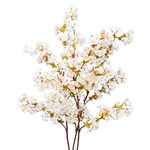 Uieke Silk Cherry Blossom Branches, 39.3in Artificial Cherry Blossom Tree Stems, Fake Plum Blossom Flowers Arrangement for Wedding Home Japanese Decor, Set of 3, White