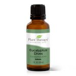 Plant Therapy Eucalyptus Dives Essential Oil 30 mL (1 oz) 100% Pure, Undiluted, Therapeutic Grade