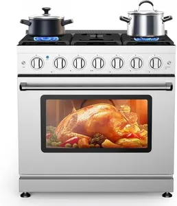 GarveeHome 36 Inch Freestanding Gas Range Stove, Electric Oven with 6 Sealed Gas Burner & 6.0 Cu.Ft Kitchen Stove, Stainless Steel Dual Fuel Range for Home and Commercia, Silver
