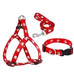 Puppy Harnesses