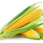 PREMIER SEEDS DIRECT Sweet Corn - SWEETCORN - Swift F1- 45 Finest Seeds