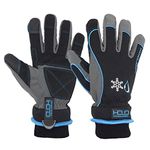 Waterproof Insulated Work Gloves， Thermal Winter Gloves for Men Women Touch Screen, Warm Ski Snowboard Cold Weather Gloves (Blue, Large)