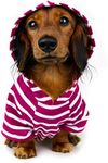 DJANGO Dog Hoodie and Super Soft and Stretchy Sweater with Elastic Waistband and Leash Portal (Small, Boysenberry)